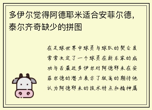 多伊尔觉得阿德耶米适合安菲尔德，泰尔齐奇缺少的拼图