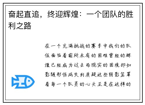 奋起直追，终迎辉煌：一个团队的胜利之路